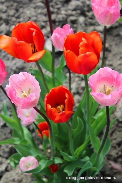 2013_05_05_0432.jpg