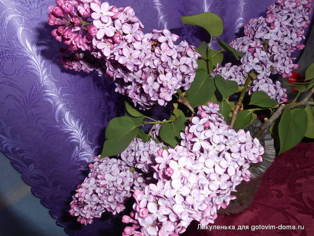 DSCN0619.JPG