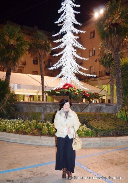 DSC_1025.jpg