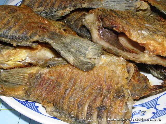 P7090106.jpg