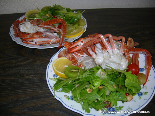 DSCN0764.JPG