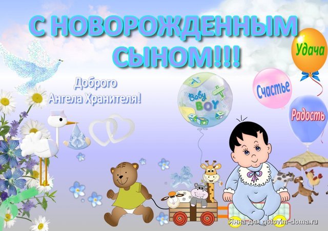 11311617.jpg