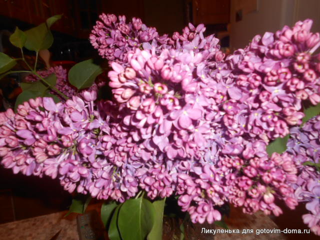 DSCN1880.JPG