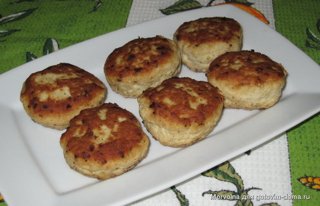 кур кот.jpg