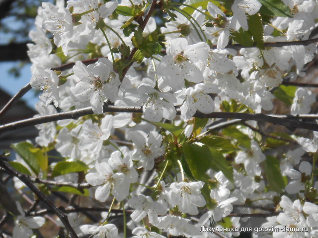 DSCN1759.JPG