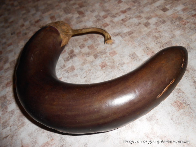 DSCN7666.JPG