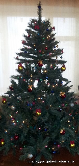 IMG_20121230_153909.jpg