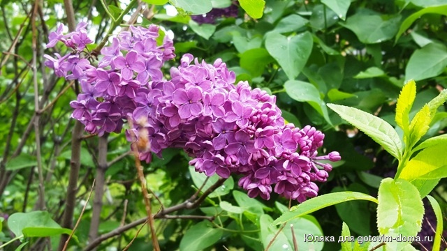 20160523_115628.jpg