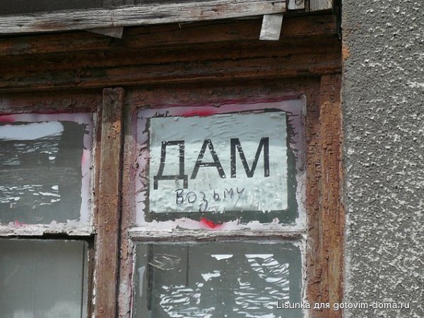 x_4e971238   dam.jpg