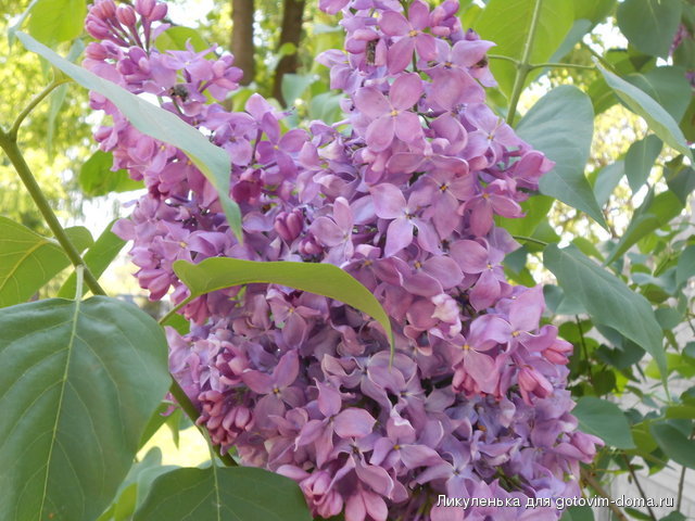 DSCN0638.JPG