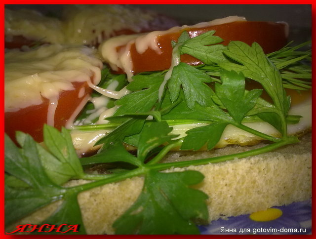 бутерброд с яйцом, помидором, сыром и зеленью.jpg