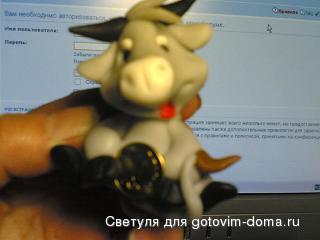 30112008(008).jpg