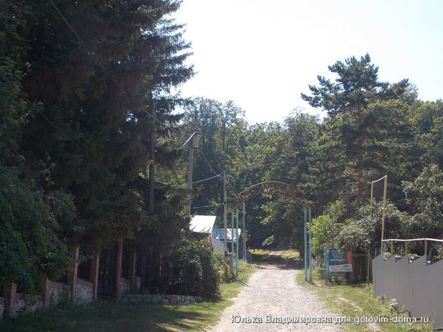 DSCN0049.jpg