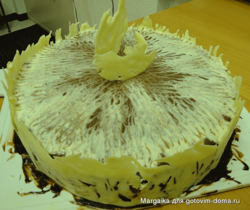 Parus4.gif