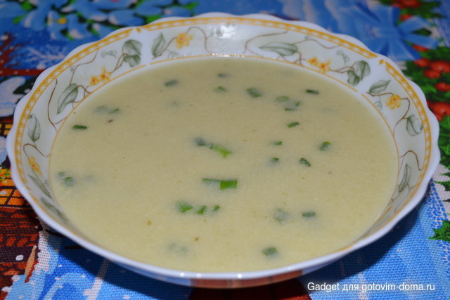 луковый суп по-французски Вишисуаз (6).JPG