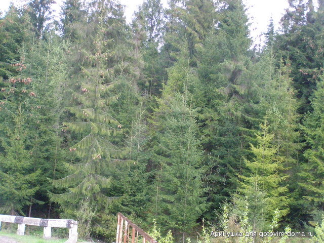 P5010110.jpg