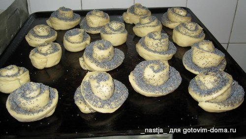 IMG_1238_cr.jpg