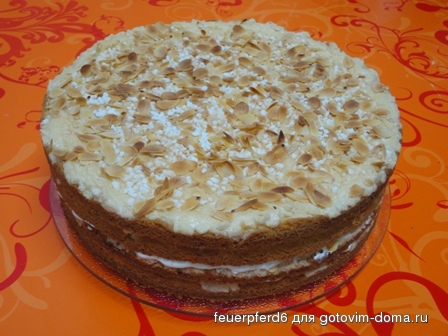 torte 788.jpg