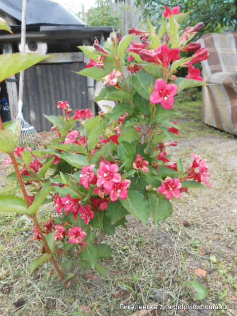 DSCN0091.JPG