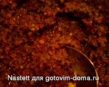 IMG0198A.jpg