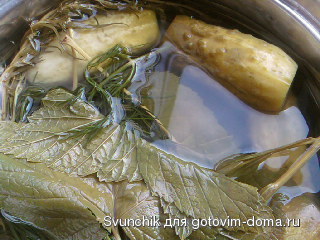 SP_A0303.jpg