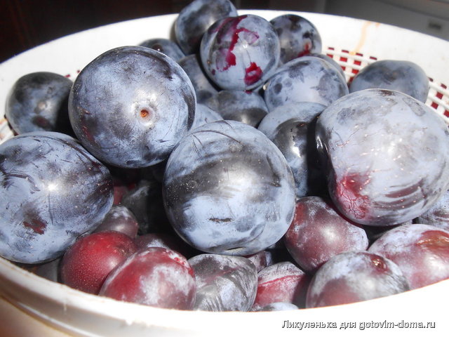 DSCN1849.JPG