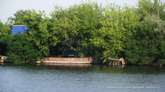 DSCF7182.jpg