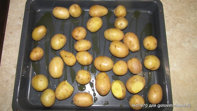 5.JPG