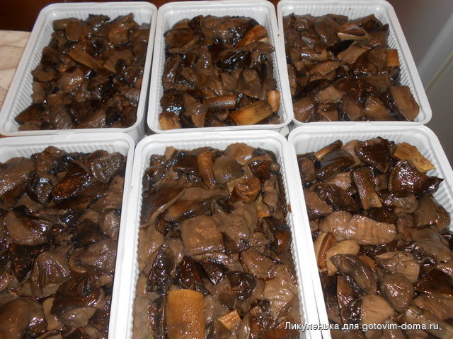 DSCN2183.JPG