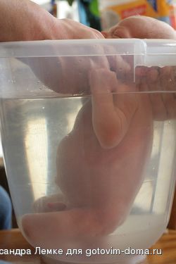 Babybadewanne-flickr-jerroen.jpg