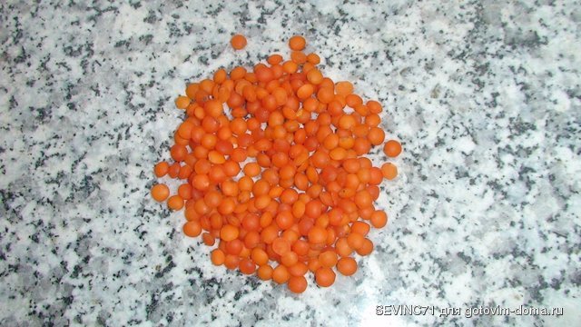 DSC03835.JPG