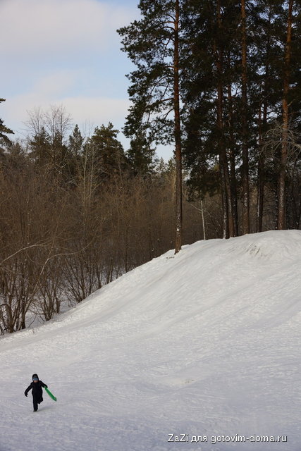 DSC05306_resize.JPG