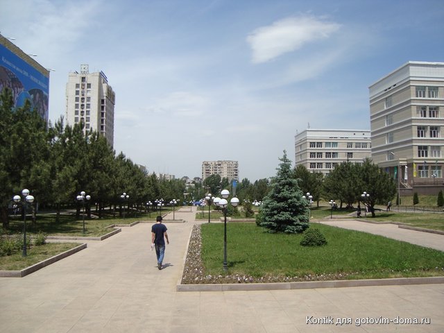 DSC05360.JPG