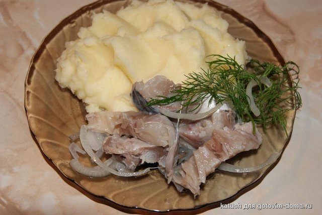 DSC02480.JPG
