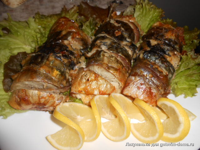 DSCN6429.JPG