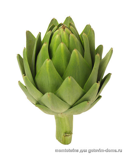 artichoke.jpg