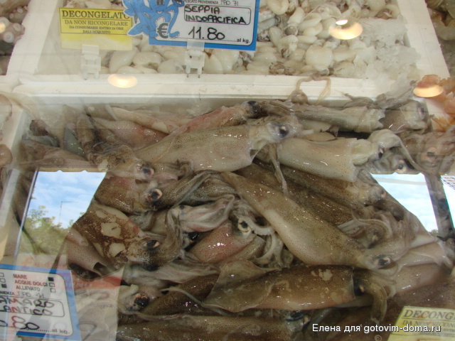 DSC01292.JPG