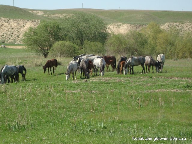 DSC05132.JPG