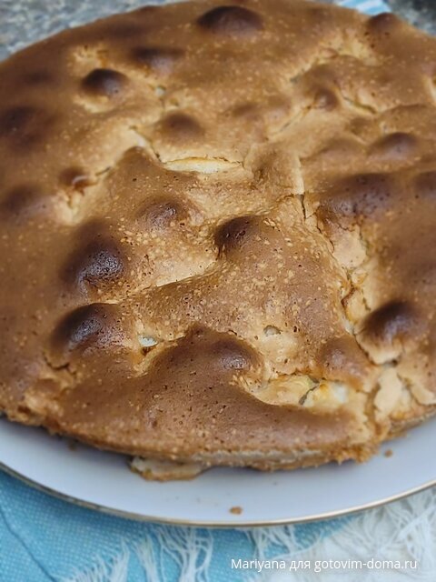 Шарлотка.jpg