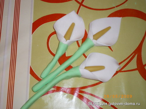 IMGP2108.jpg