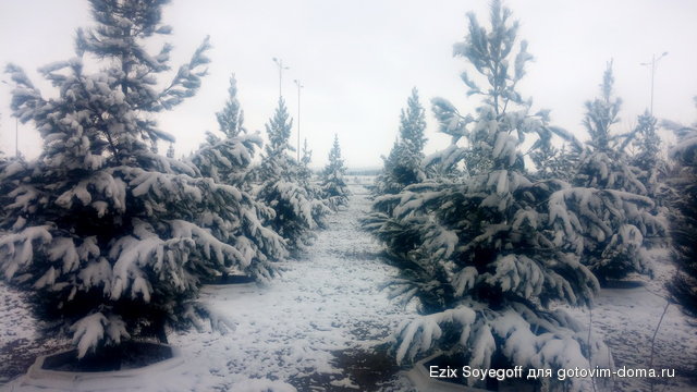 20160210_100829.jpg
