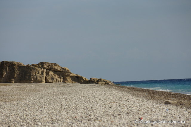 DSC04203.JPG