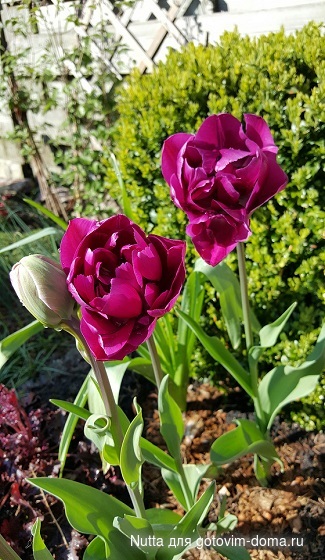 20170425_201452.jpg