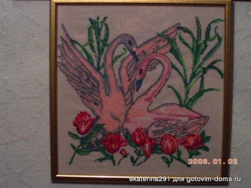 PICT0041.JPG
