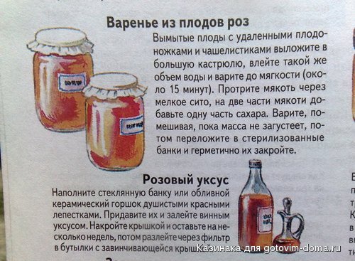 236.jpg
