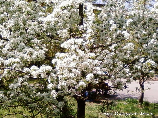 SP_A0320.jpg