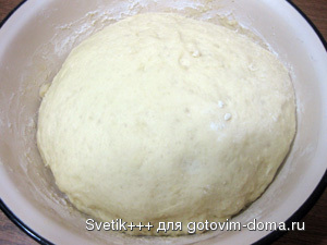 IMG_4373.jpg