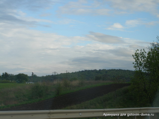 P4300025.jpg