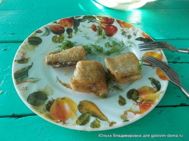 DSCN9233.jpg