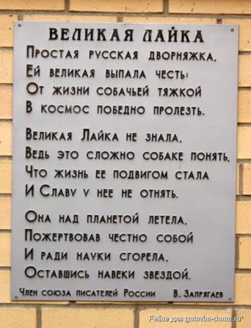 3532855-R3L8T8D-500-002.jpg